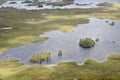 Lochan na h-Achlaise, Rannoch Moor Royalty Free Stock Photo